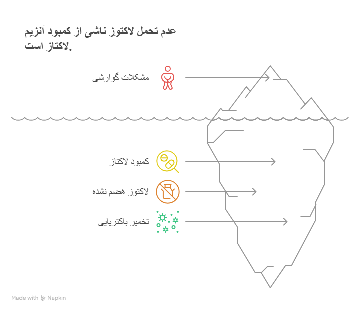 نقش آنزیم لاکتاز در بدن و مشکلات ناشی از کمبود آن
