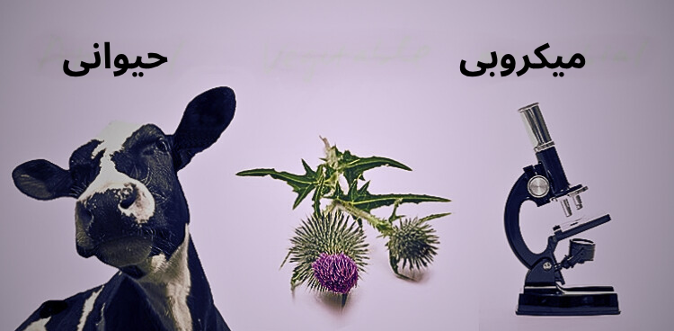 رنت حیوانی و رنت میکروبی