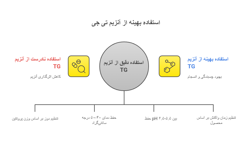 آنزیم TG در لبنیات و گوشت
