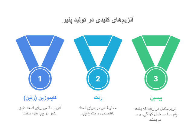 Milk coagulation process using rennet enzyme in cheese making