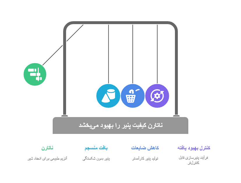 Nataren: An effective tool for overcoming production barriers in cheesemaking