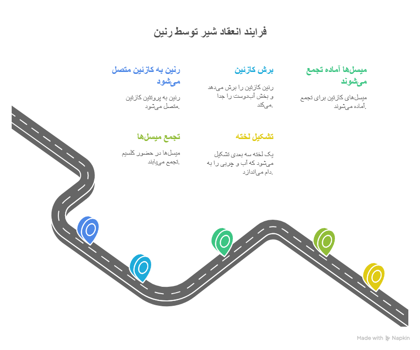 رنین چیست و چه نقشی در تولید پنیر دارد؟