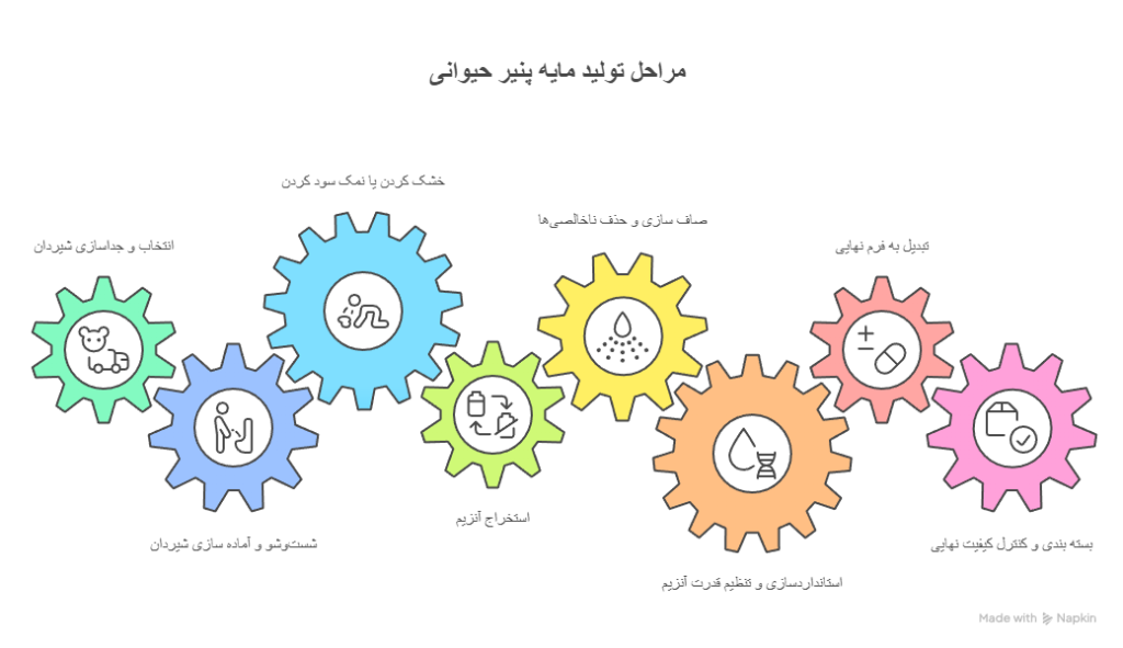 مراحل تولید مایه پنیر حیوانی