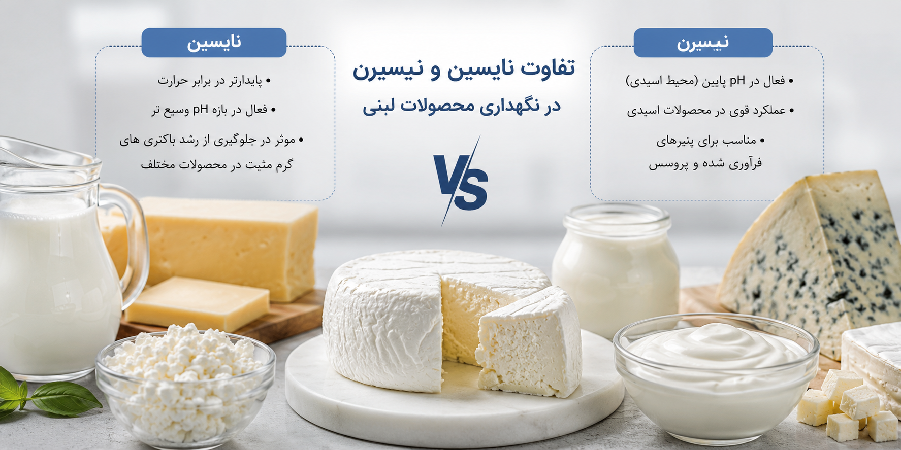 تفاوت نایسین و نیسیرن در نگهداری محصولات لبنی