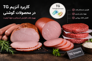 کاربرد آنزیم TG در محصولات گوشتی