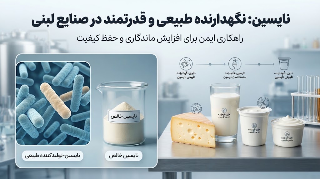 نایسین چیست؟